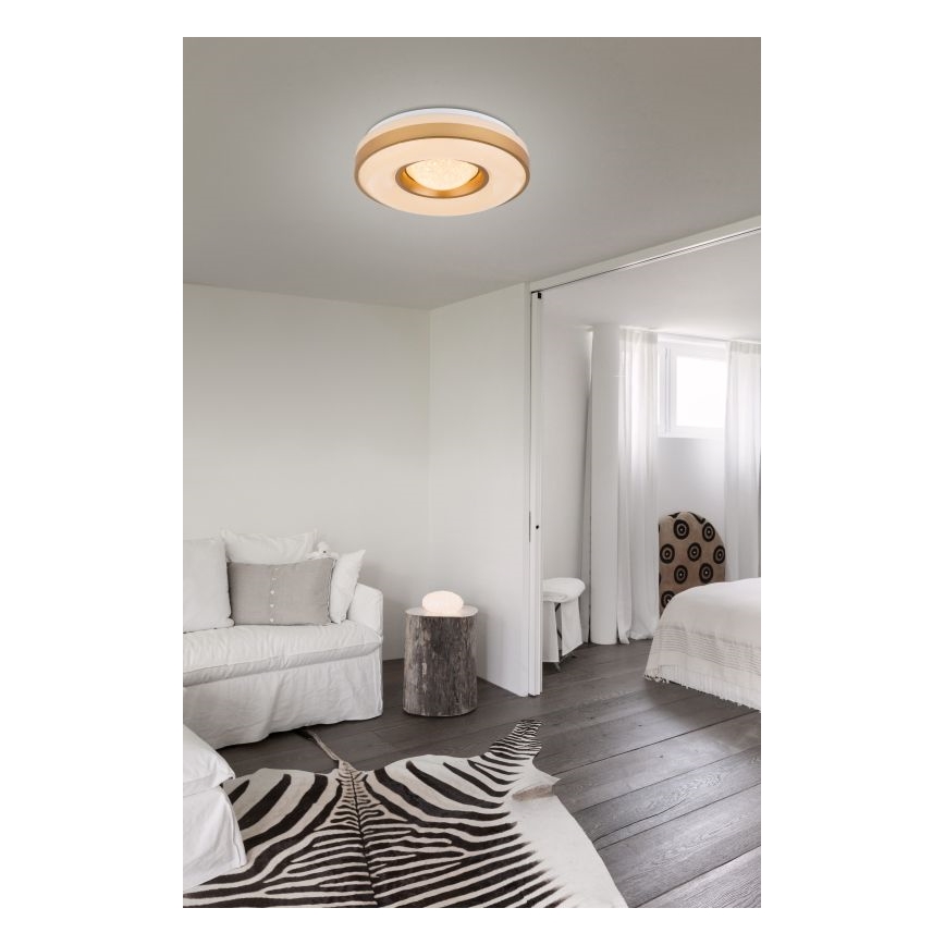 Globo - LED Stropné svietidlo LED/24W/230V