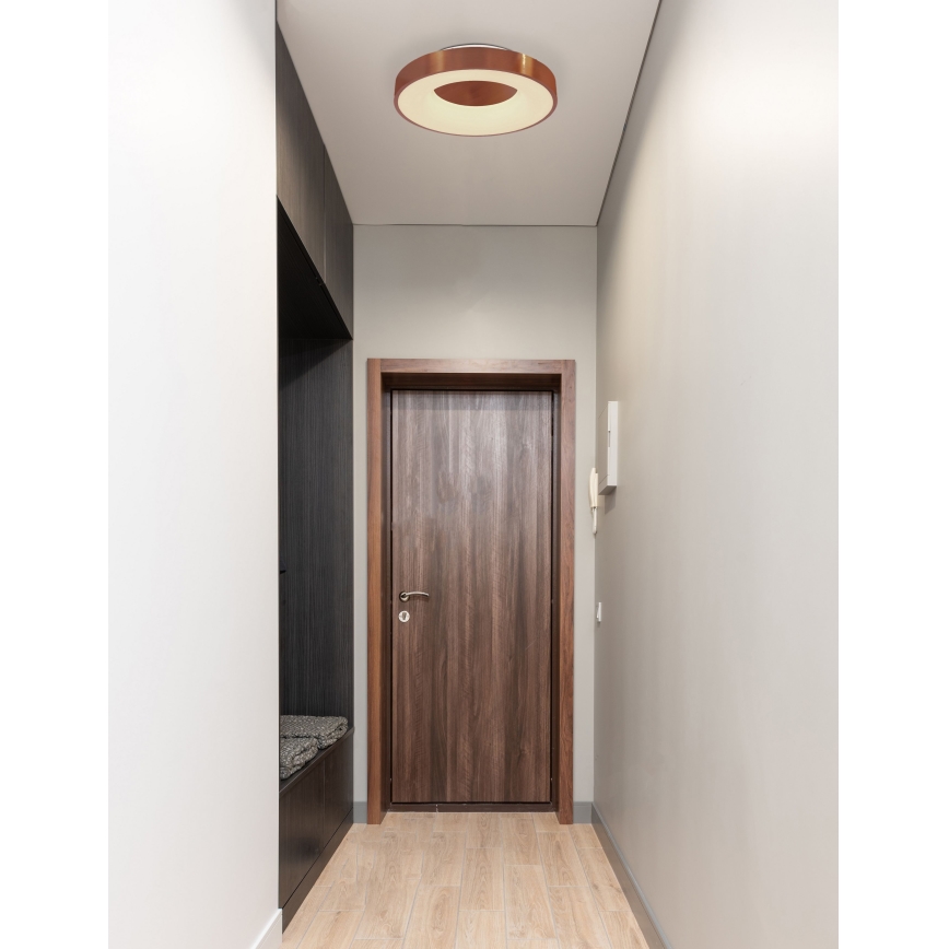 Globo - LED Stmievateľné stropné svietidlo LED/30W/230V 2700-6000K + diaľkové ovládanie