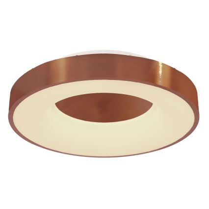 Globo - LED Stmievateľné stropné svietidlo LED/30W/230V 2700-6000K + diaľkové ovládanie