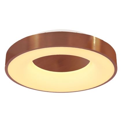 Globo - LED Stmievateľné stropné svietidlo LED/30W/230V 2700-6000K + diaľkové ovládanie