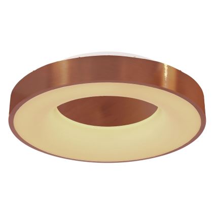 Globo - LED Stmievateľné stropné svietidlo LED/30W/230V 2700-6000K + diaľkové ovládanie
