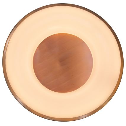 Globo - LED Stmievateľné stropné svietidlo LED/30W/230V 2700-6000K + diaľkové ovládanie