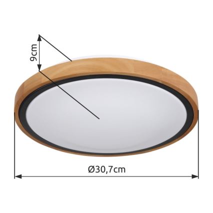 Globo - LED Stropné svietidlo LED/12W/230V 307 mm 3000/4500/6000K