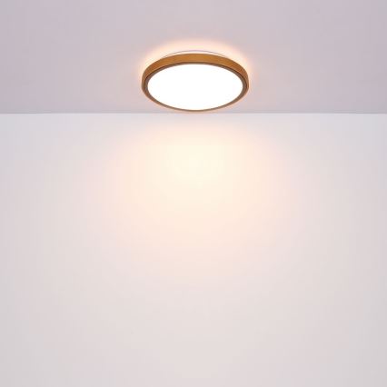 Globo - LED Stropné svietidlo LED/12W/230V 307 mm 3000/4500/6000K