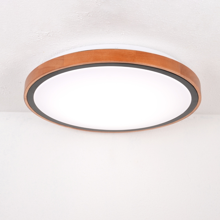 Globo - LED Stropné svietidlo LED/24W/230V 3000/4500/6000K pr. 43,7 cm