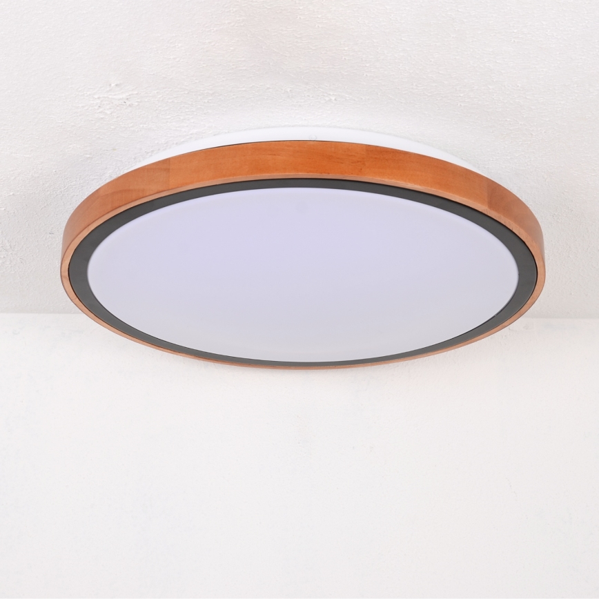 Globo - LED Stropné svietidlo LED/24W/230V 3000/4500/6000K pr. 43,7 cm