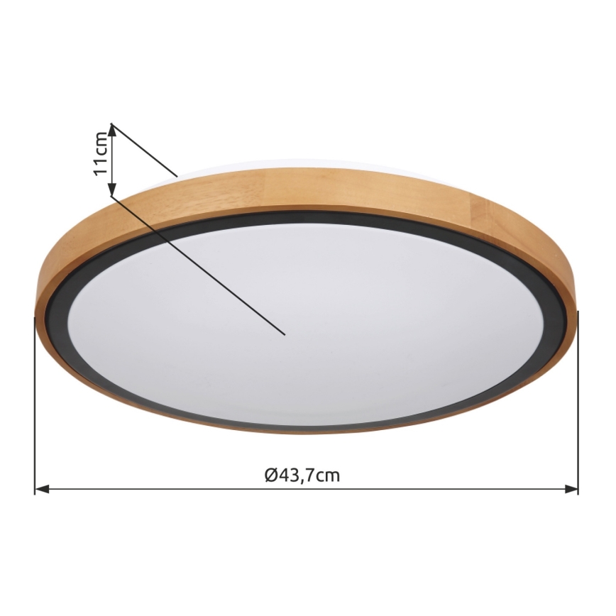 Globo - LED Stropné svietidlo LED/24W/230V 3000/4500/6000K pr. 43,7 cm