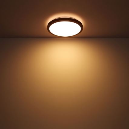 Globo - LED Stropné svietidlo LED/24W/230V 3000/4500/6000K pr. 43,7 cm