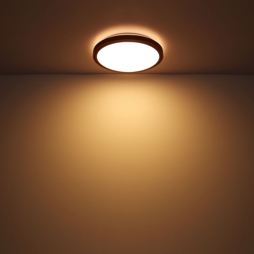 Globo - LED Stropné svietidlo LED/24W/230V 3000/4500/6000K pr. 43,7 cm