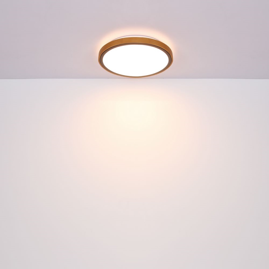 Globo - LED Stropné svietidlo LED/24W/230V 3000/4500/6000K pr. 43,7 cm
