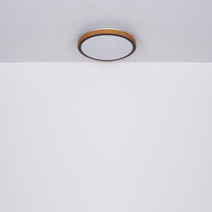 Globo - LED Stropné svietidlo LED/24W/230V 3000/4500/6000K pr. 43,7 cm