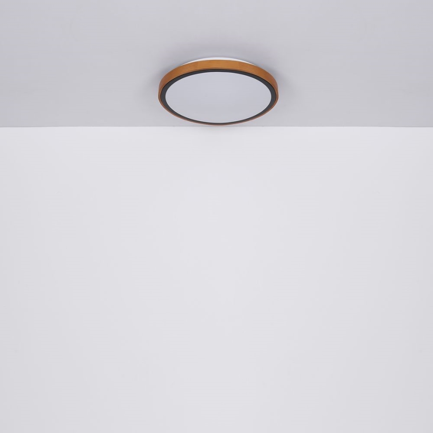 Globo - LED Stropné svietidlo LED/24W/230V 3000/4500/6000K pr. 43,7 cm