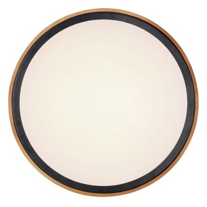Globo - LED Stropné svietidlo LED/24W/230V 3000/4500/6000K pr. 43,7 cm