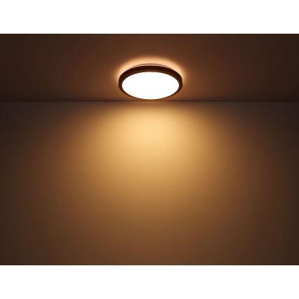 Globo - LED Stropné svietidlo LED/12W/230V 3000/4500/6000K pr. 30 cm