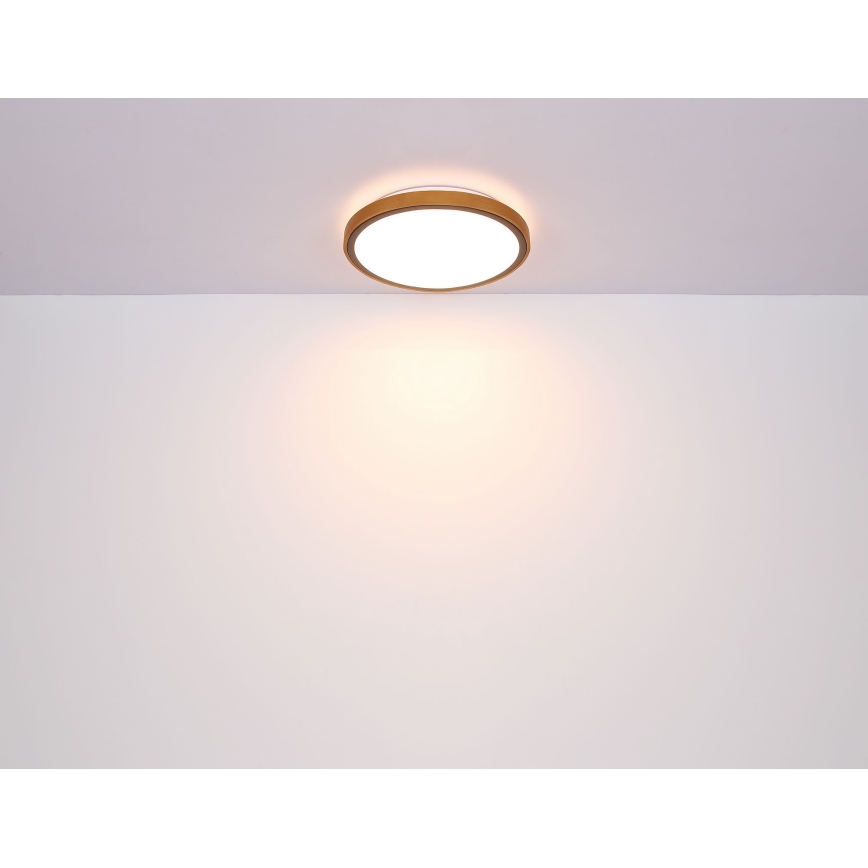 Globo - LED Stropné svietidlo LED/12W/230V 3000/4500/6000K pr. 30 cm