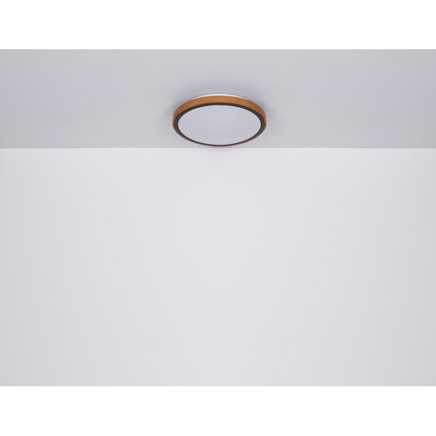 Globo - LED Stropné svietidlo LED/12W/230V 3000/4500/6000K pr. 30 cm
