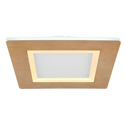 Globo - LED Stropné svietidlo LED/23W/230V 2700/6500K