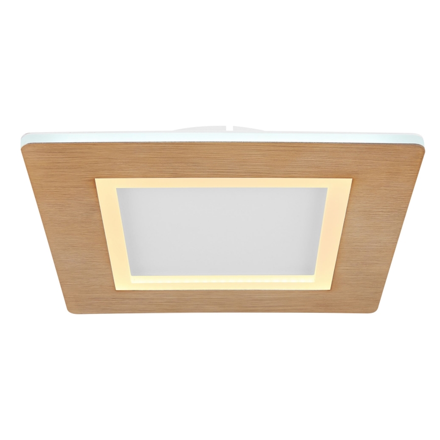 Globo - LED Stropné svietidlo LED/23W/230V 2700/6500K