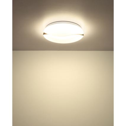 Globo - LED Stropné svietidlo LED/24W/230V 3000/4200/6000K pr. 33 cm