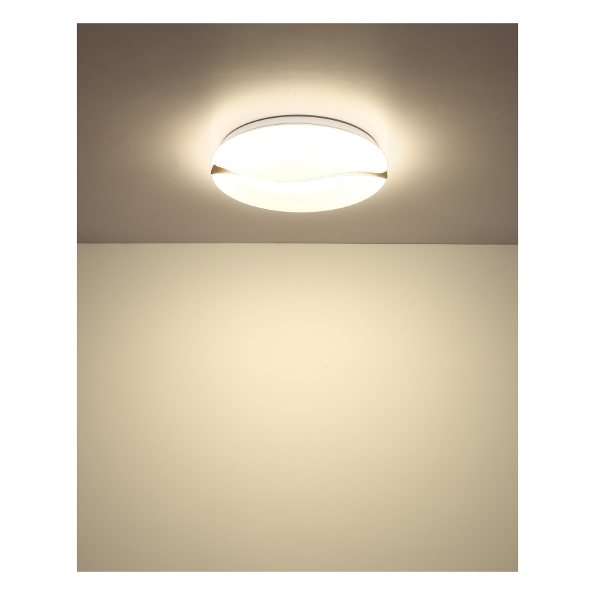 Globo - LED Stropné svietidlo LED/24W/230V 3000/4200/6000K pr. 33 cm