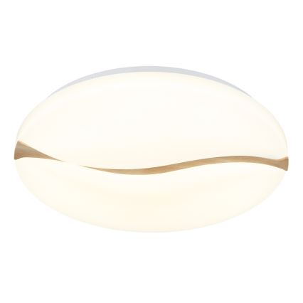 Globo - LED Stropné svietidlo LED/24W/230V 3000/4200/6000K pr. 33 cm