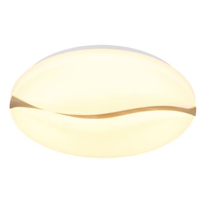 Globo - LED Stropné svietidlo LED/24W/230V 3000/4200/6000K pr. 33 cm