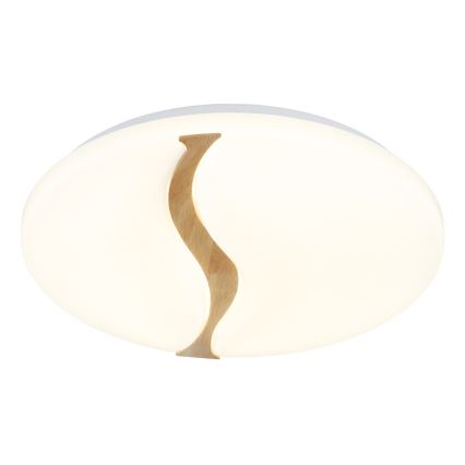 Globo - LED Stropné svietidlo LED/24W/230V 3000/4200/6000K pr. 33 cm