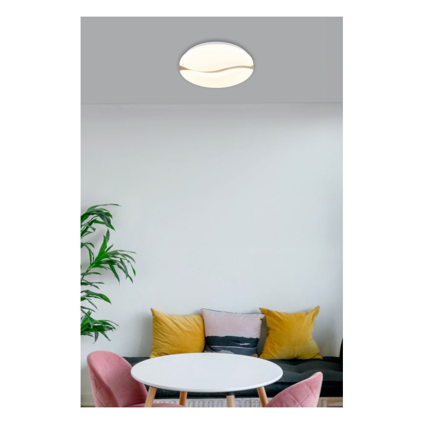 Globo - LED Stropné svietidlo LED/24W/230V 3000/4200/6000K pr. 39 cm