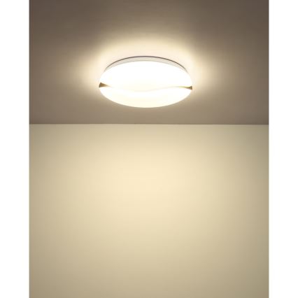 Globo - LED Stropné svietidlo LED/24W/230V 3000/4200/6000K pr. 39 cm