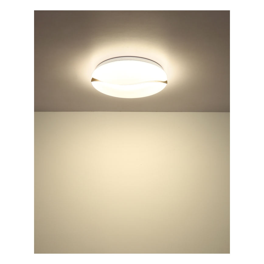 Globo - LED Stropné svietidlo LED/24W/230V 3000/4200/6000K pr. 39 cm