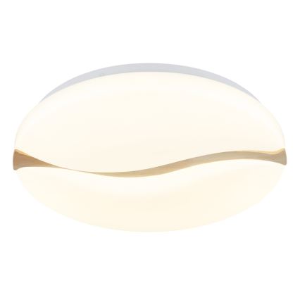 Globo - LED Stropné svietidlo LED/24W/230V 3000/4200/6000K pr. 39 cm