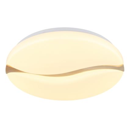 Globo - LED Stropné svietidlo LED/24W/230V 3000/4200/6000K pr. 39 cm