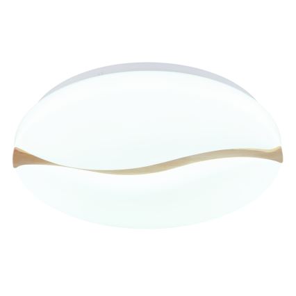 Globo - LED Stropné svietidlo LED/24W/230V 3000/4200/6000K pr. 39 cm