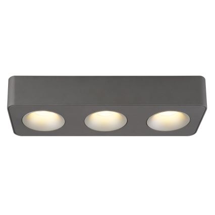 Globo - LED Stropné svietidlo LED/14W/230V 11,7x33,2 cm