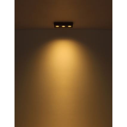 Globo - LED Stropné svietidlo LED/14W/230V 11,7x33,2 cm