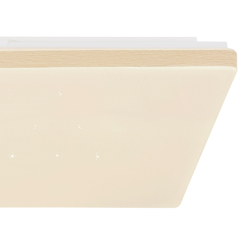 Globo - LED stmievateľné stropné svietidlo LED/24W/230V Wi-Fi Tuya + diaľkové ovládanie