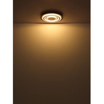 Globo - LED Stropné svietidlo LED/24W/230V 3000K pr. 32 cm antracit