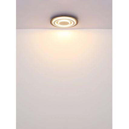 Globo - LED Stropné svietidlo LED/24W/230V 3000K pr. 32 cm antracit