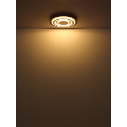 Globo - LED Stropné svietidlo LED/24W/230V 3000K pr. 32 cm