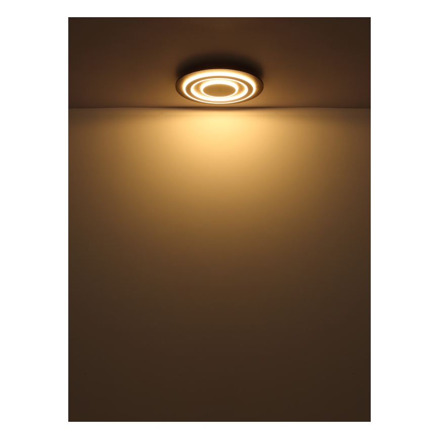 Globo - LED Stropné svietidlo LED/24W/230V 3000K pr. 32 cm