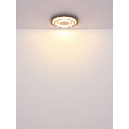 Globo - LED Stropné svietidlo LED/24W/230V 3000K pr. 32 cm