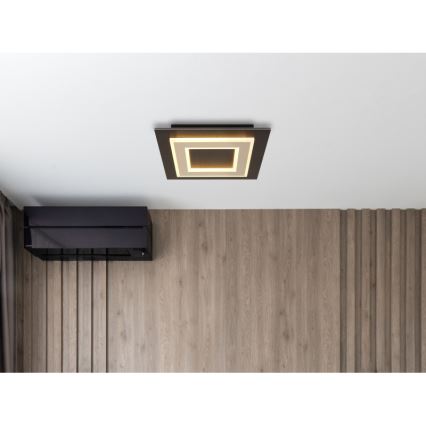 Globo - LED Stropné svietidlo LED/24W/230V 3000K 32x32 cm