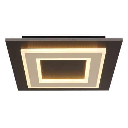 Globo - LED Stropné svietidlo LED/24W/230V 3000K 32x32 cm