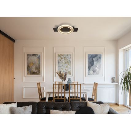Globo - LED Stropné svietidlo LED/18W/230V 3000K 29x44 cm