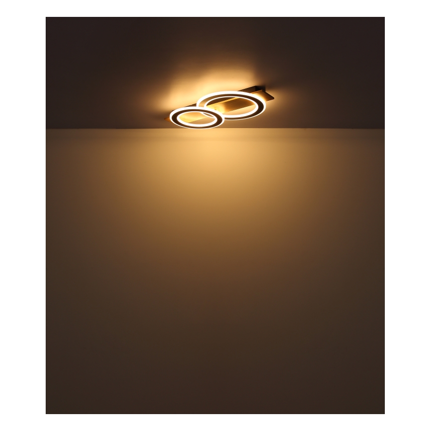 Globo - LED Stropné svietidlo LED/40W/230V 3000K 35x63 cm