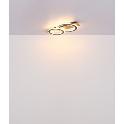 Globo - LED Stropné svietidlo LED/40W/230V 3000K 35x63 cm