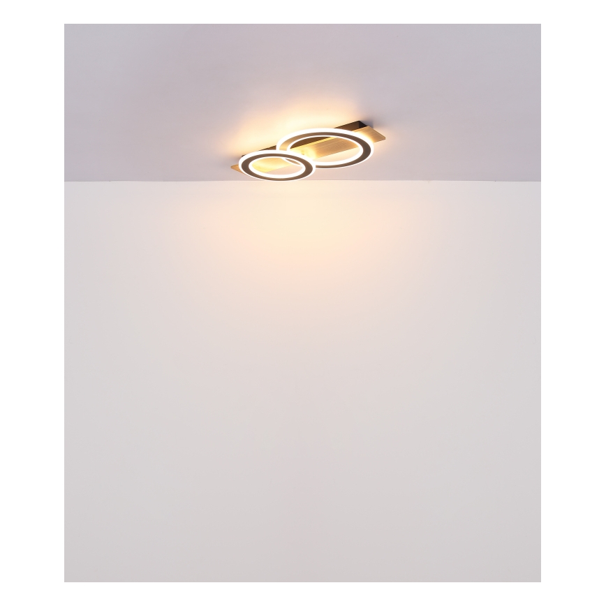 Globo - LED Stropné svietidlo LED/40W/230V 3000K 35x63 cm