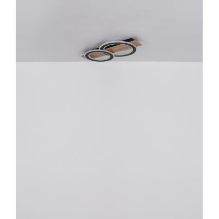 Globo - LED Stropné svietidlo LED/40W/230V 3000K 35x63 cm