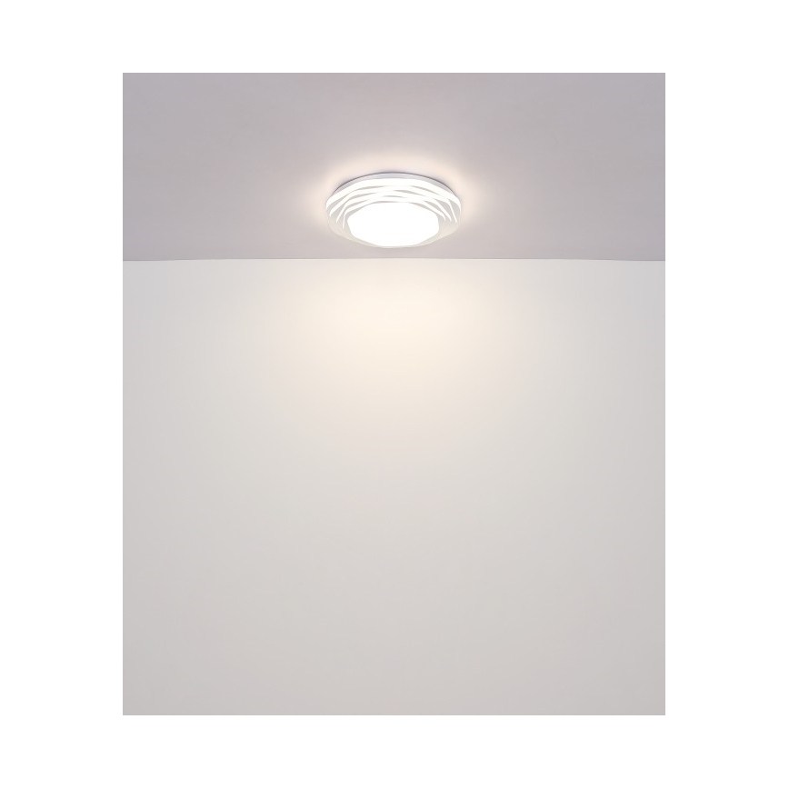 Globo - LED stropné stmievateľné svietidlo LED/36W/230V 3000/4000/6000K pr. 48 cm