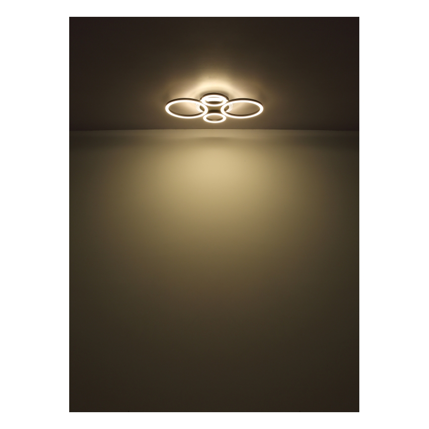 Globo - LED Stropné svietidlo LED/30W/230V 2700/4500/6500K pr. 33x50 cm čierna